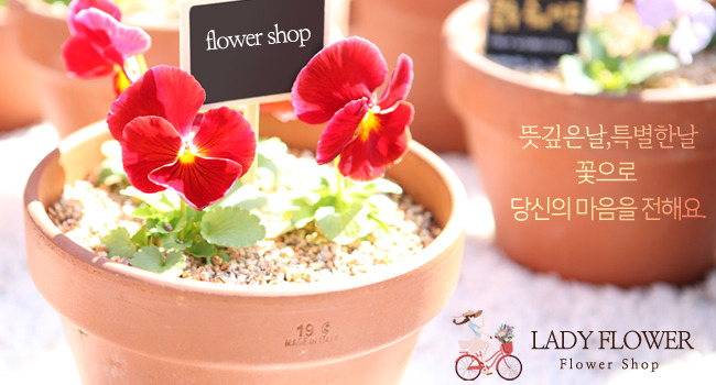 �Ұ��̹���