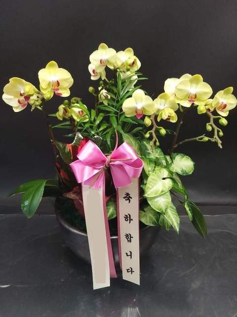 ����� ����