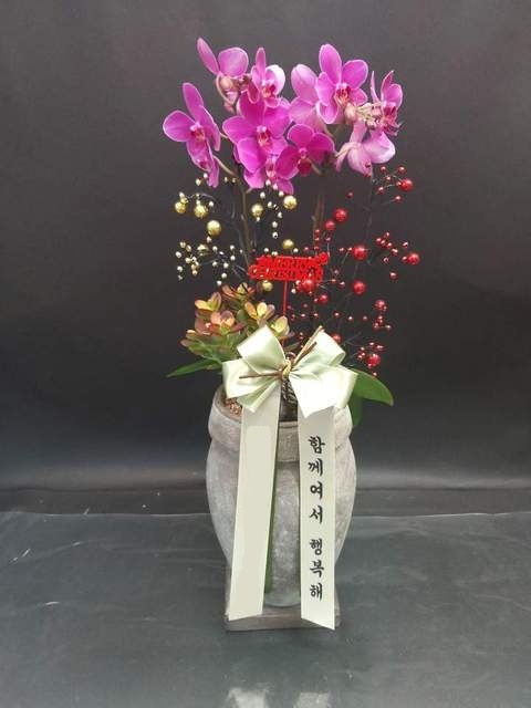 ũ�������� �����