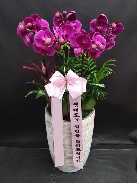 ����ũȣ��