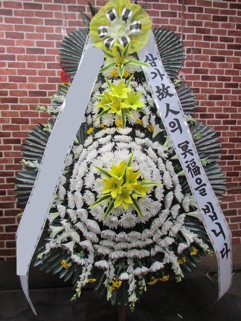 ����3�� Ư��