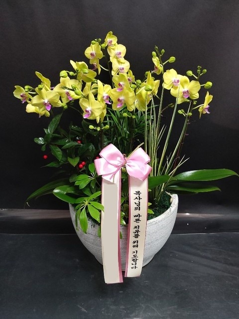 ��� ȣ����