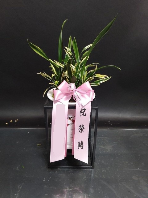 �뱹 ������