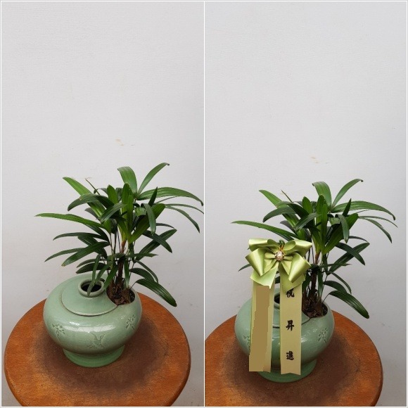 ������ ���ڱ�