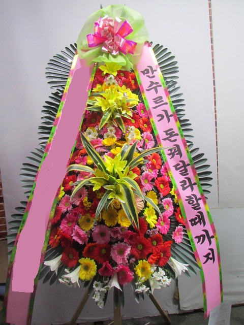 ����3��ȭȯ