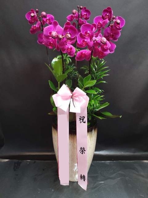 ����ũȣ��