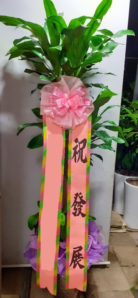 ���� ��������