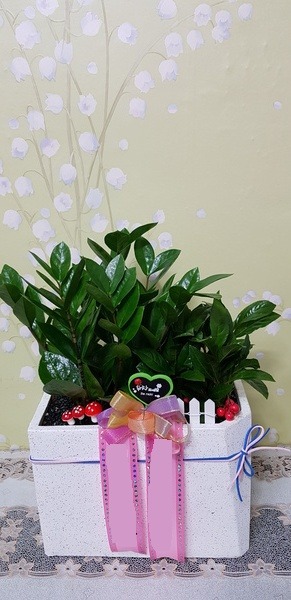 ������ Ź���