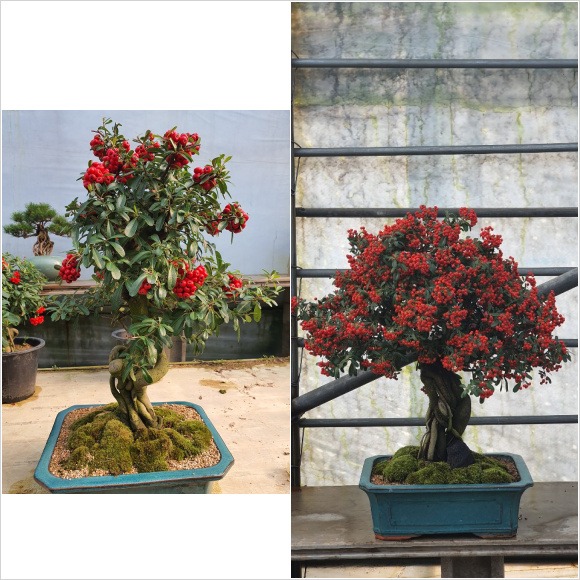 ���� �Ƕ�ĭí