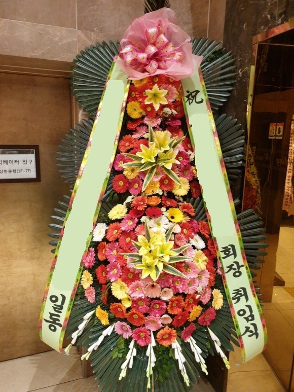 ����3��ȭȯ