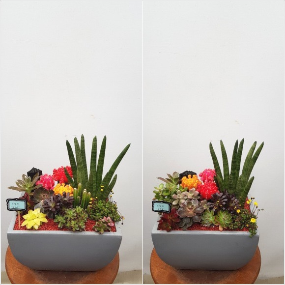 ��Ҽ��������