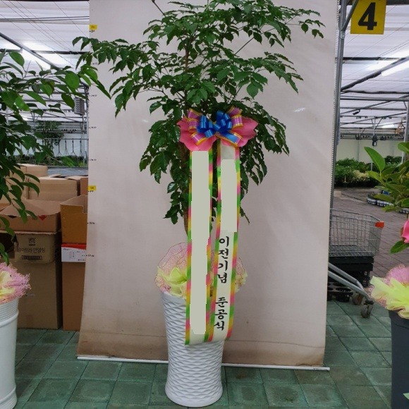 ����Ʈ��