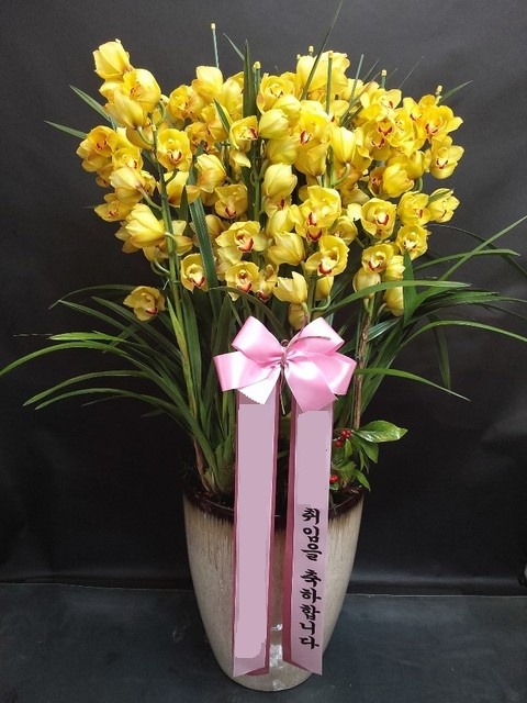 ��� �ɺ���