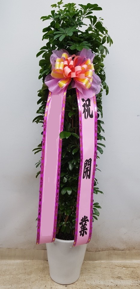 ȫ����� �а���