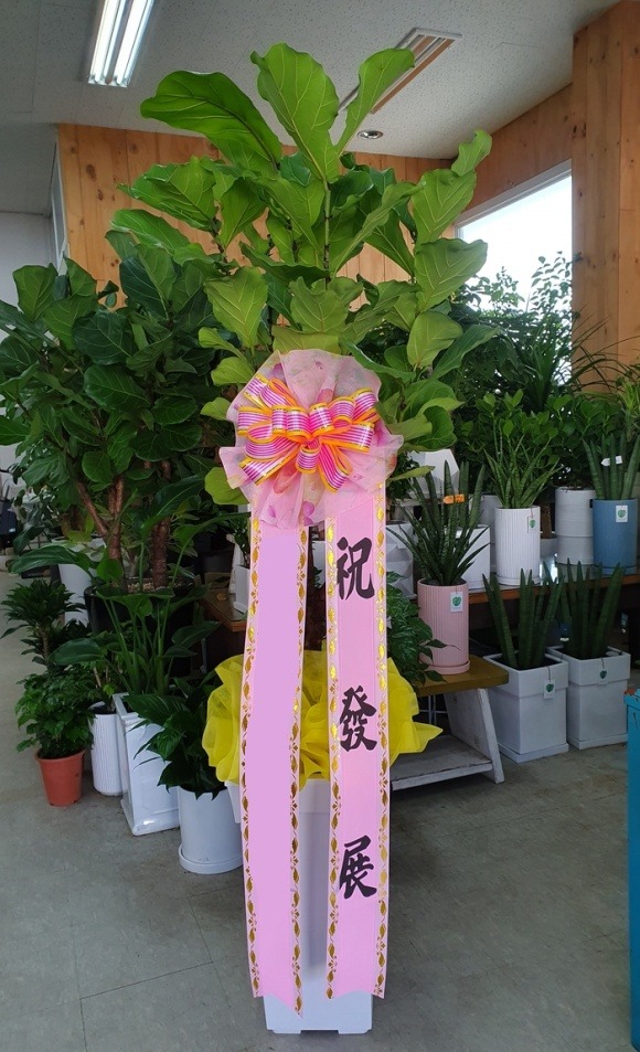 ������������