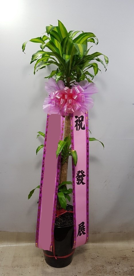 ���� �а���