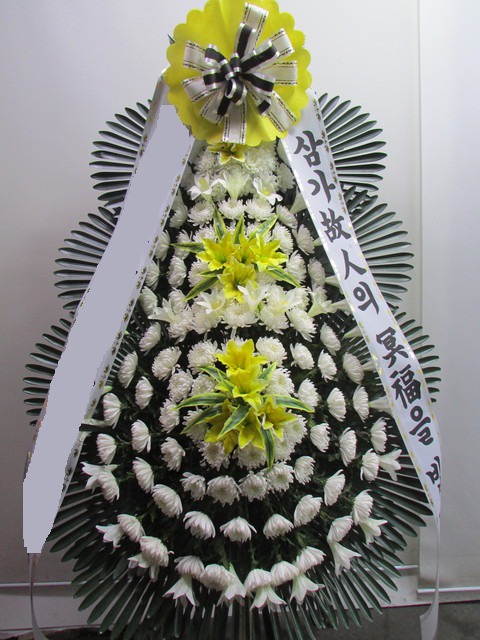 ����3��ȭȯ ��Ư���