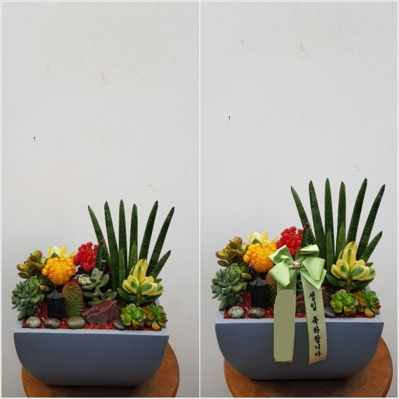 �������ȭ��