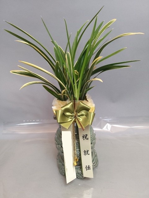 ����� ����