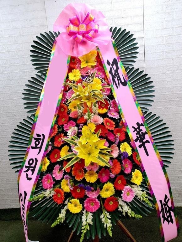 ����3��ȭȯ