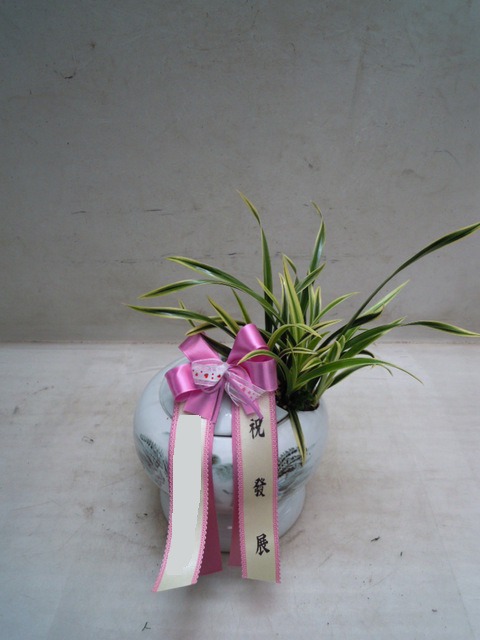 ����� ���ڱ�