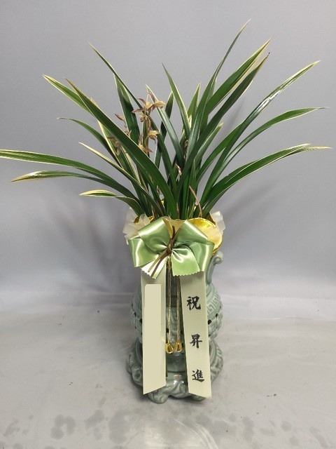 ����� ����