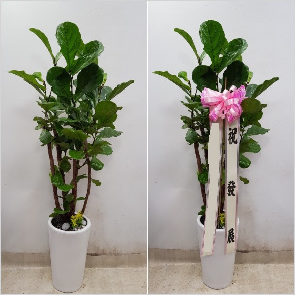 ������������