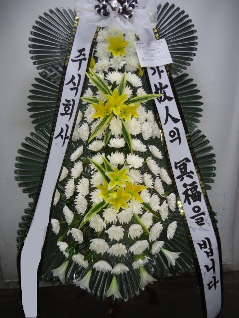 ����3��ȭȯ