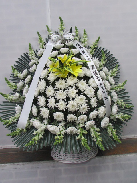 ����ٱ���