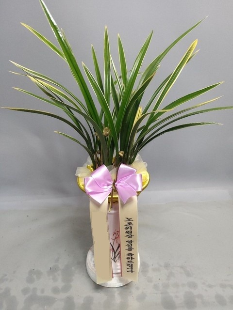 ����� äȫ