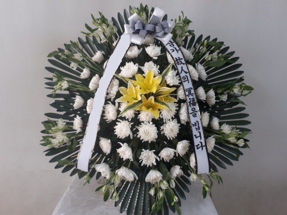 ����ٱ���