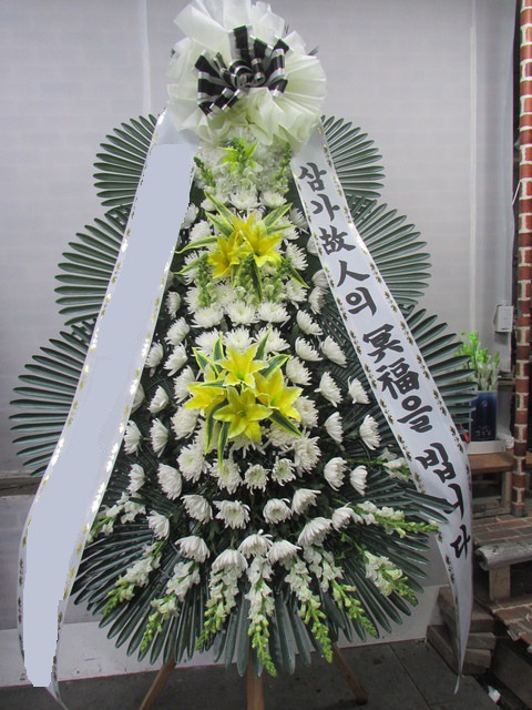 ����3��ȭȯ