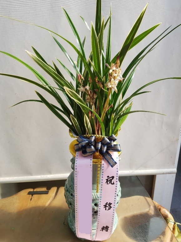 ����� ����