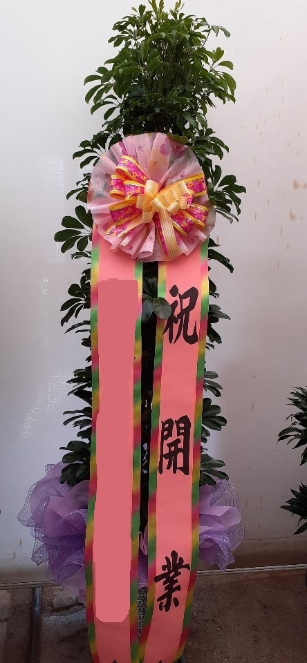 ȫ����� ��������