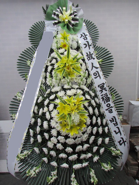 ����3�� Ư��