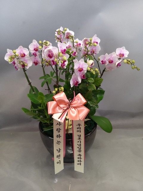 �̴�ȣ����