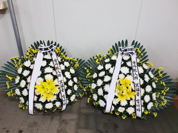 ����ٱ���