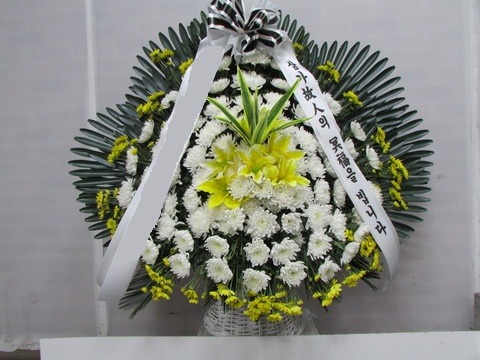 ����ٱ���