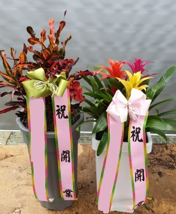 ũ���� / ����Ͼ�