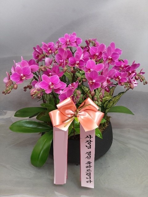 �̴�ȣ�� �����