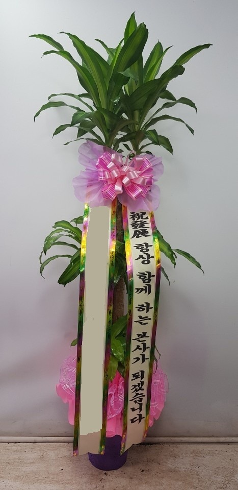 ���� ��������