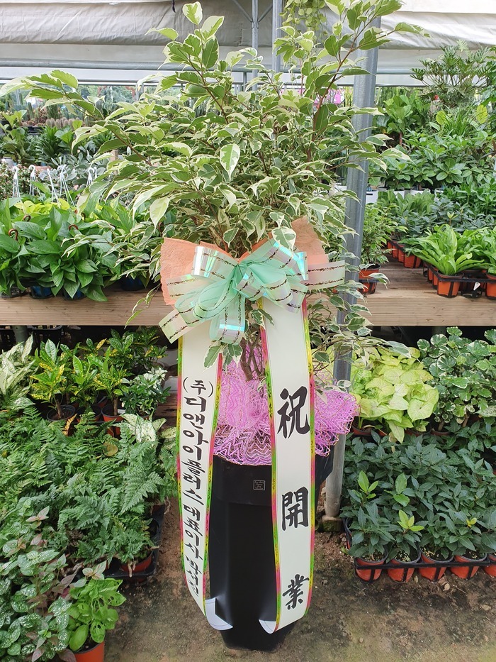 Į�� ���ڹ�