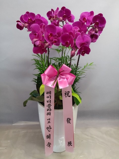 ����� �߱�ȫ