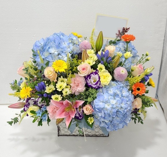 ���� �ɹٱ���