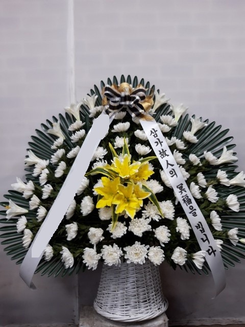 ����ٱ���