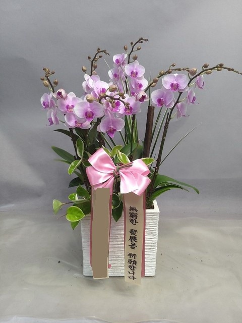 �̴� �����