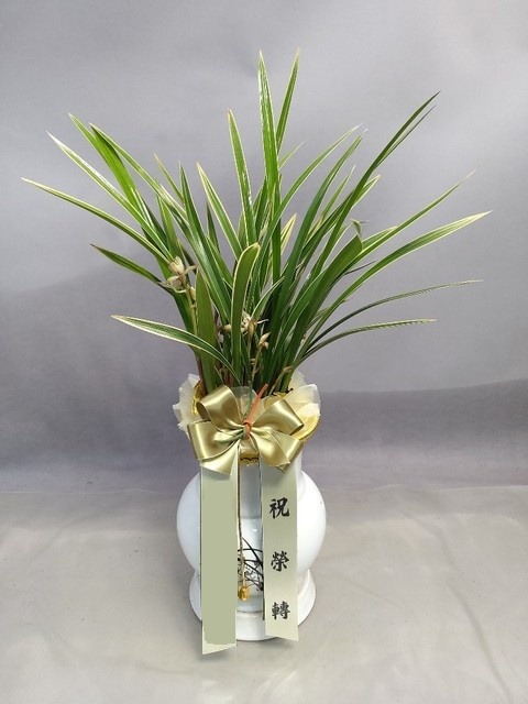 ���� �����