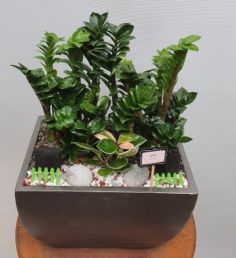 ������ Ź���