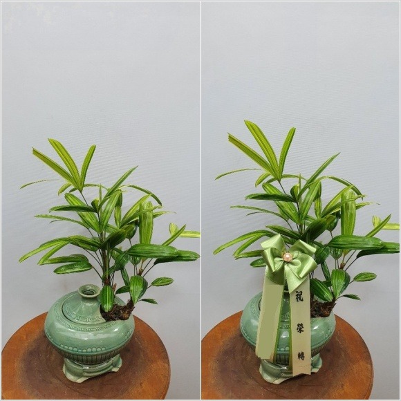 ���� ������ ���ڱ�