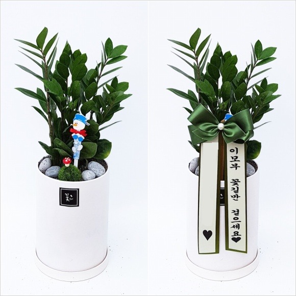 ������ Ź���